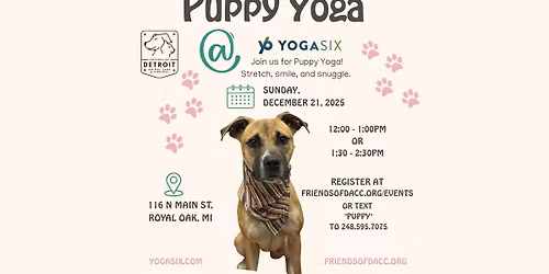 Puppy Yoga! With Friends of Detroit Animal Care and Control and YogaSix in Royal Oak