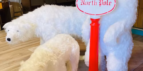 Black Friday and weekend!