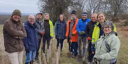 Hedge Planting - Gatwick Stream, River Mole