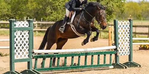 Leg Up Stables June Hunter Show