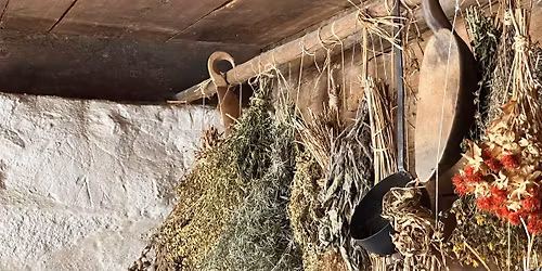 Spezialf\u00fchrung: Magische Raun\u00e4chte