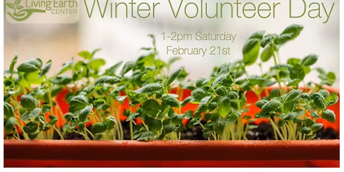 February Winter Volunteer Day