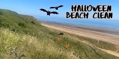 Halloween Beach Clean - Crimdon