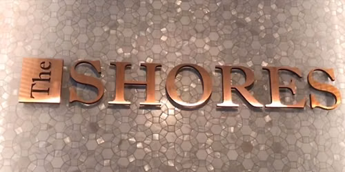 The Shores Gig