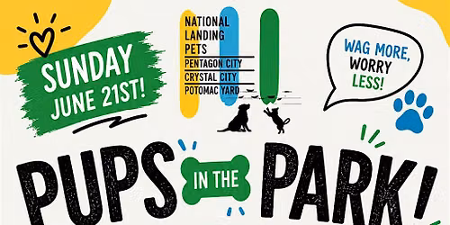 Pups In The Park