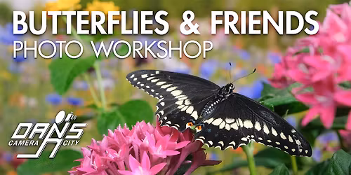 Butterfly Photography Workshop - afternoon session