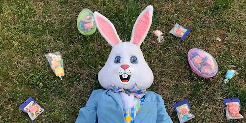 Easter Bunny Pop Up