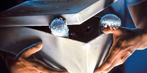 The Attic Film Club: Gremlins