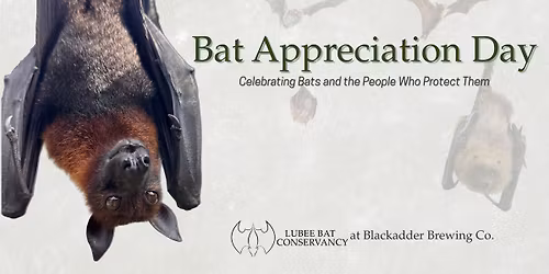 Bat Appreciation Day!