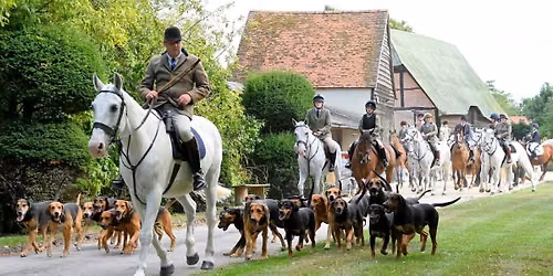 Hound Exercise - Steventon
