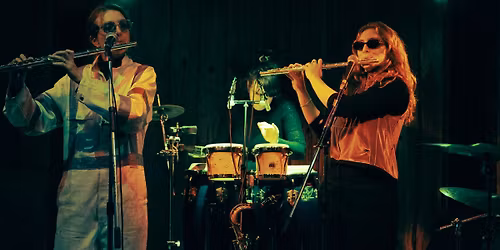 Packed With Haste & Frog Impostor