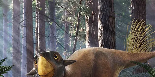 Quiet Afternoons in Dinosaurs Surviving Extinction