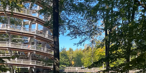 Sommer Regionalmarkt am 26. Juli