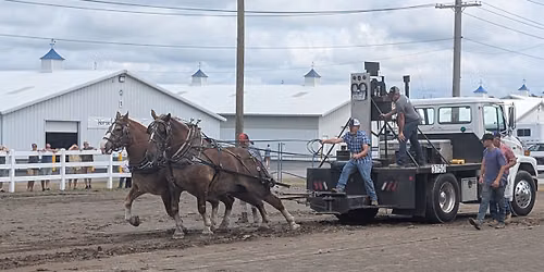 NYS Sanctioned Horse Pull