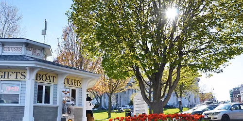Parking Stars On Ice - Kingston