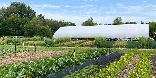 Silver Maples: Welcome to DeLano Farm