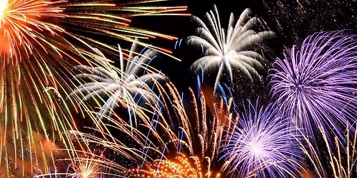 Forest Firework Night