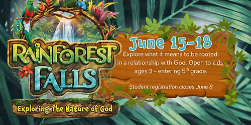 Rainforest Falls VBS