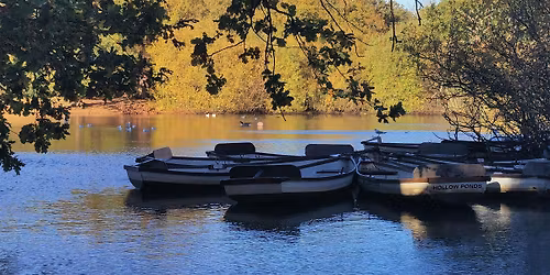 Work and Leisure in the Hollow Ponds- Epping Forest Guided Walk