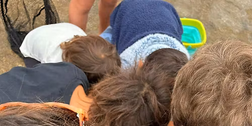 Seaside Safari: Family Tidepool Adventure