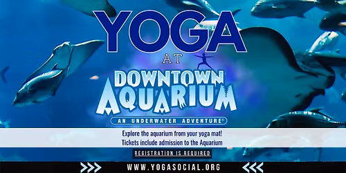 Yoga at the Downtown Aquarium in Denver with Yoga Social