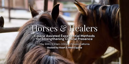 Horses and Healers