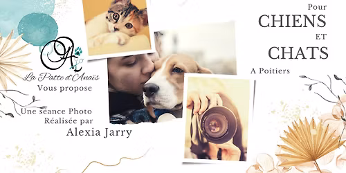 S\u00e9ance Photo pour Animaux