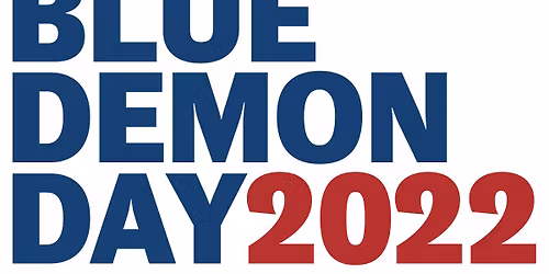 St. Johns Red Storm at DePaul Blue Demons Womens Basketball at Wintrust Arena