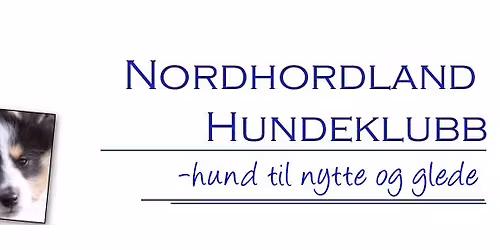 Sommercamp i Rallylydighet