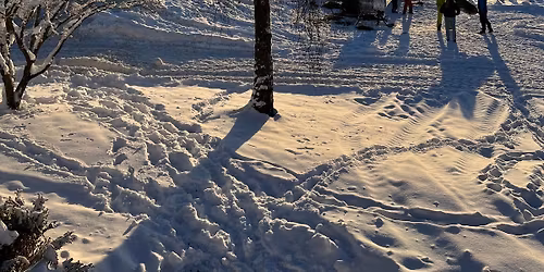 Julemarked p\u00e5 Nedre Dagslet juletreg\u00e5rd