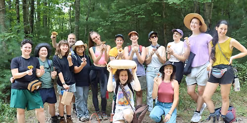 Queer-Led Mushroom Forage
