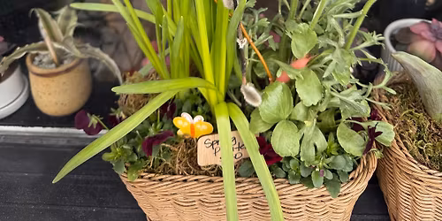 [April 18th] Spring Planter Arrangement