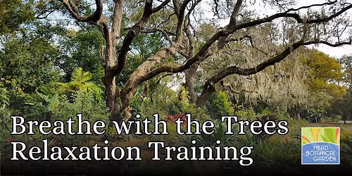 Breathe with the Trees Relaxation Training
