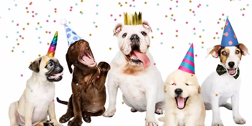 Open House Celebration at Animal Kingdom Veterinary Care Center