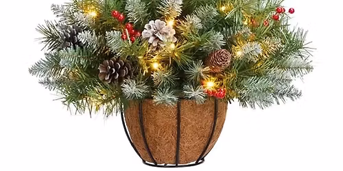 Evergreen Hanging Pot