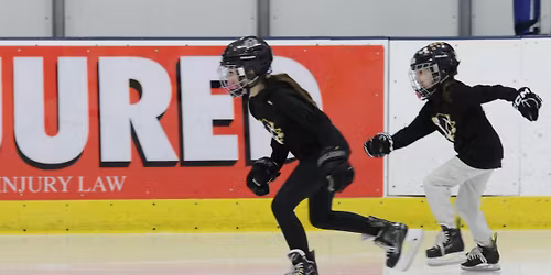 Annual Ice Skating Event
