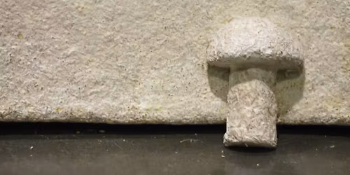 For ages 9-14: Mushroom materials