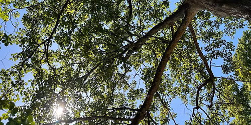 Poems of Gerard Manley Hopkins