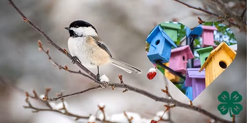 Auburn 4-H Spark Club