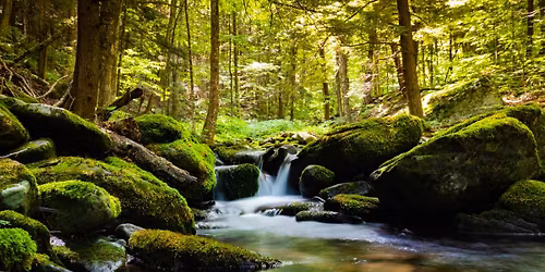Poetry Reading Event -Late Afternoon on the River