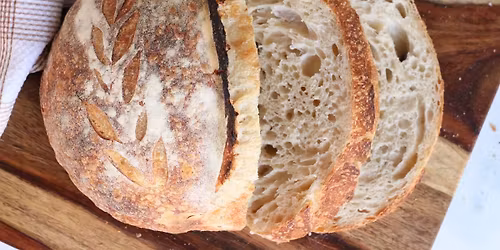 Sourdough Starter 101: Begin Your Bread Journey