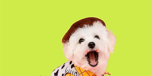 Yappy Hour: Pup-or-Treat at Aloft Minneapolis