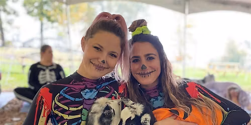Halloween Costume Goat Yoga