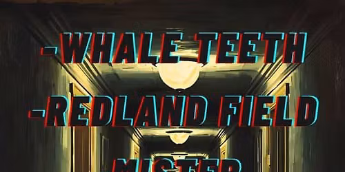 Chrysanthemum, Mister Strawberry, Redland Field and Whale Teeth @ Harper & Penny\u2019s