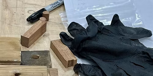 Advanced Wood Window Preservation and Repair