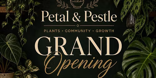 Grand Opening