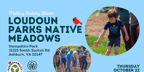 Hampshire Park Native Meadow Planting