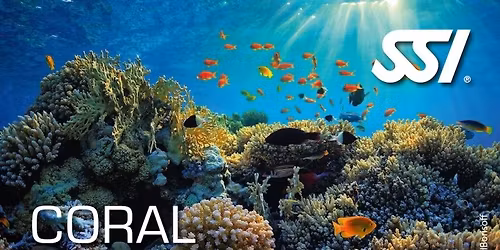 Kurz SSI - pozn\u00e1v\u00e1n\u00ed kor\u00e1l\u016f