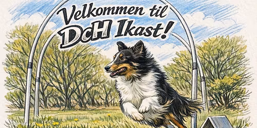 DKK + DcH hooperskonkurrence hos DcH Ikast