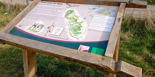 Wye Downs NNR 13 mile walk